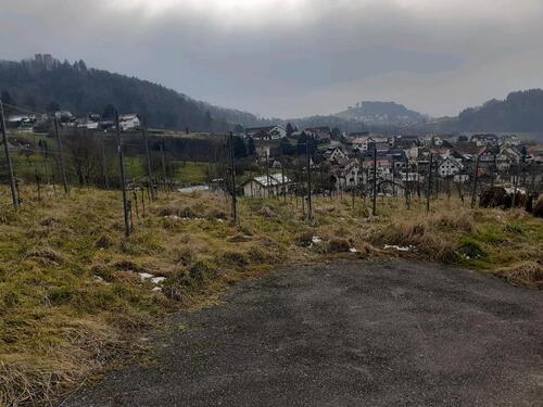 Foto - Weinberg in Bühl Kappelwindeck - 2.839,00 EUR Kaltmiete, ca.  0,00 m²