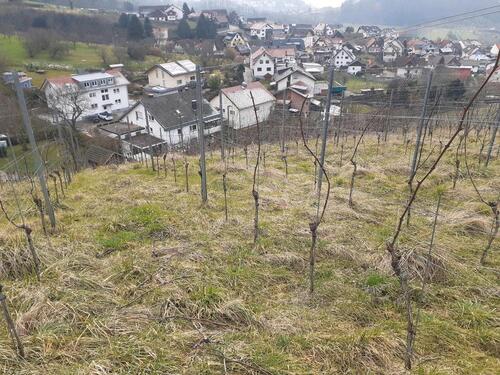 Foto - Grundstück zur Miete in Bühl