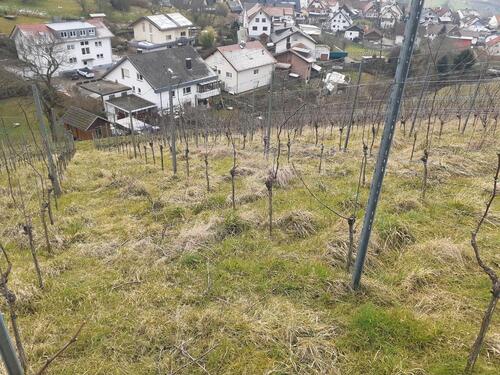 Foto - Grundstück in Bühl