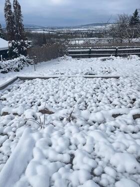 Foto - Grundst&uuml;ck zur Miete in Quedlinburg