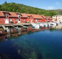 Ferienhaus Südnorwegen am Fjord - Boot inkl. - Hunde willkommen - Münster