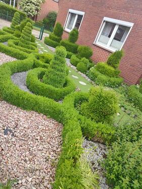 Foto - Einfamilienhaus in Cloppenburg zum Kaufen