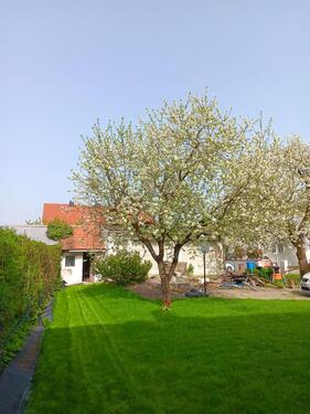 Foto - Einfamilienhaus in Plattling