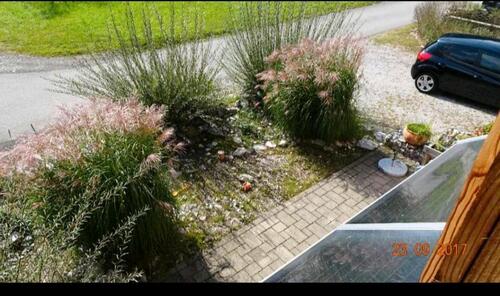 Foto - 3 Zimmer Loft - Studio - Atelier in Füssen