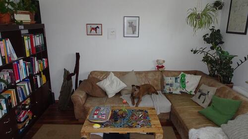 Foto - Etagenwohnung in Cottbus zur Miete