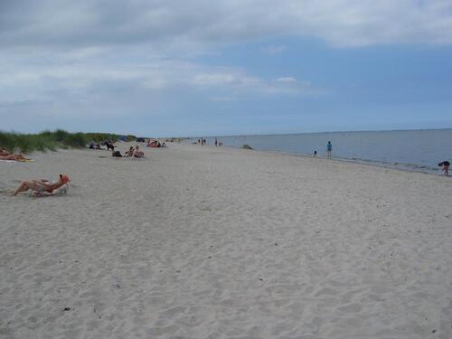 Foto - Nordsee Ferienhaus Esens Bensersiel 4 Schlafz. Garten Hunde ab