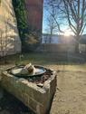 Foto - Prenzlauer Berg ruhige, helle und zentrale Wohnunh
