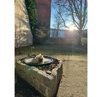 Prenzlauer Berg ruhige, helle und zentrale Wohnunh - Berlin Pankow
