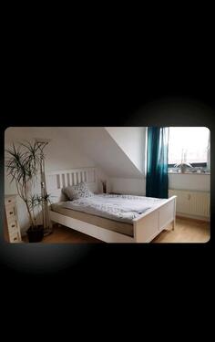 Foto - andere in Münster zur Miete