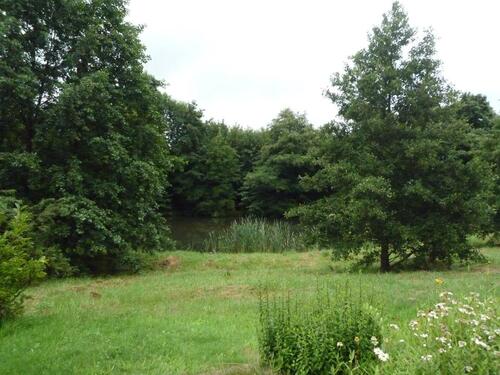 Foto - Eigentumswohnung in Stollberg zu verkaufen