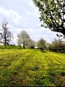 Foto - Grundstück in Holzheim