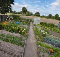 Schrebergarten Nutzgarten - 50,00 EUR Kaltmiete, ca.  0,00 m² in Hamberge (PLZ: 23619)