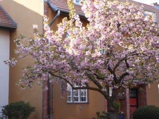 Foto - Wohnen im Unesco Welterbe - 790.000,00&nbsp;EUR Kaufpreis, ca.&nbsp; 119,00&nbsp;m&sup2;