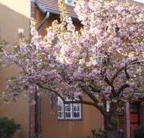 Wohnen im Unesco Welterbe - 790.000,00&nbsp;EUR Kaufpreis, ca.&nbsp; 119,00&nbsp;m&sup2; in Berlin (PLZ: 12359) Neukölln