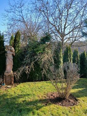 Foto - Grundst&uuml;ck in Montabaur