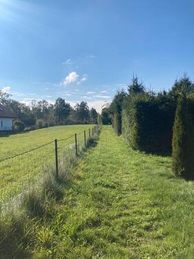 Foto - 