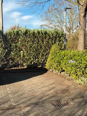 Foto - Privatstellplatz Köln Esch - 70,00&nbsp;EUR Miete,