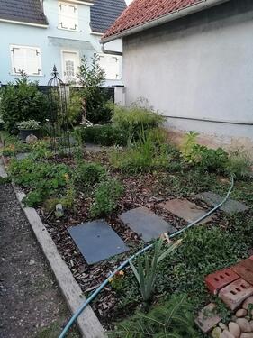 Foto - 6 Zimmer Einfamilienhaus in Iffezheim