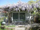 Foto - Einfamilienhaus mit Garten ab 01.08.2026 zu vermieten