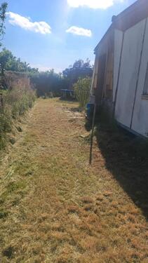 Foto - klein garten im komplex kastanienweg