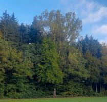 Waldgrundstück , Wald , Forst - 7,00 EUR Kaltmiete, ca.  0,00 m² in Vilgertshofen (PLZ: 86946)