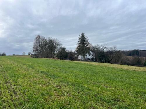 Foto - 1–3 WG-Zimmer frei in Hof-Wohngemeinschaft im Grünen