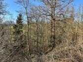 Foto - Bachnaher Laubmischwald im schönen Bröltal bei Ruppichteroth-Oeleroth