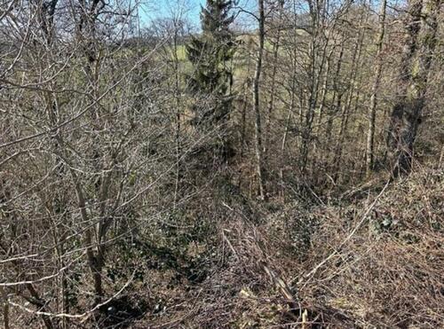 Foto - Grundstück zur Miete in Ruppichteroth
