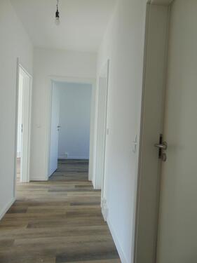 Foto - Schöne 3-Raum-Wohnung in Stralsund zu vermieten