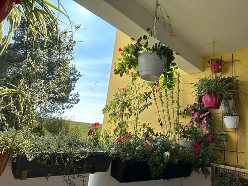 Foto - Wunderschöne 4,5 Zimmer Wohnung mit Balkon mit Blick ins Grüne