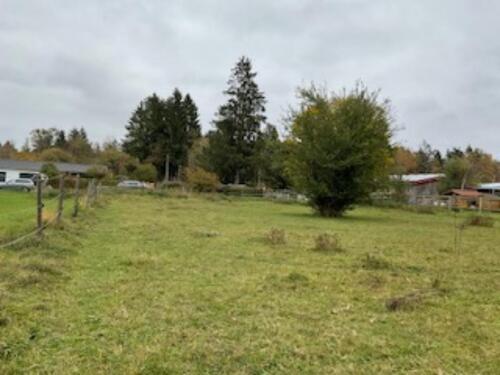Foto - Freizeitgrundstück in Berg (Starnberger See) zu verpachten