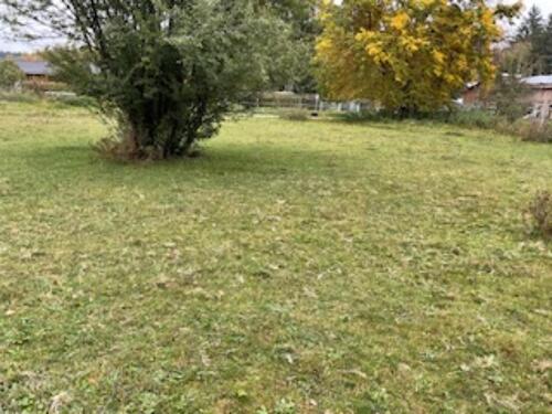 Foto - Grundstück zur Miete in Berg