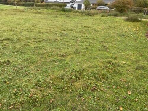 Foto - Grundstück in Berg zur Miete