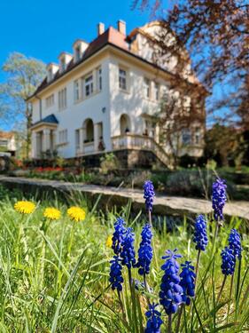 Foto - Praxis- oder Büroräume zu vermieten, zentrumsnah