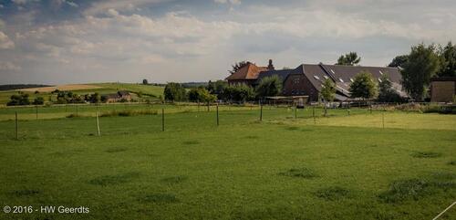 Foto - 4 Zimmer andere zur Miete in Essen