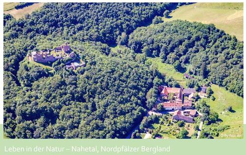 Foto - Einfamilienhaus zum Kaufen in Hallgarten