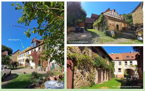 Foto - Einfamilienhaus in Hallgarten