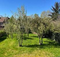 1- ZKB mit 115qm!!! Wohn- und Nutzfläche Balkon zentral Norden