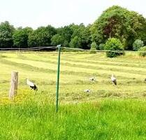 Wohnung zu vermieten - 820,00 EUR Kaltmiete, ca.  70,00 m² in Hamminkeln (PLZ: 46499)