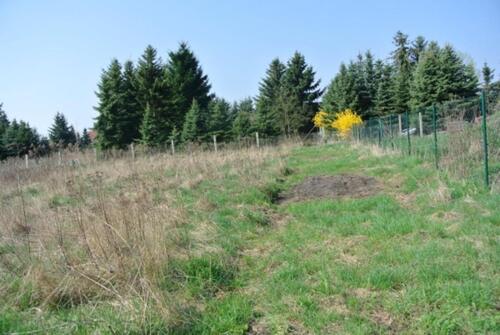 Foto - Grundstück in Lauchhammer zur Miete
