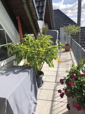 Foto - Einfamilienhaus zum Kaufen in Hundsangen