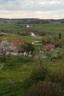 Foto - 1 Zimmer Etagenwohnung in Wolfegg