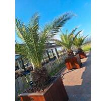 Julianahoeve - 150,00&nbsp;EUR Kaltmiete, in Bramsche (PLZ: 49565)