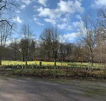 1 Raum-Whg, EG, direkt am Park Seerhausen - Stauchitz