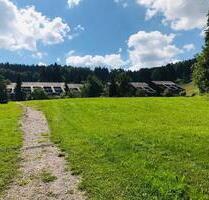 1-Zimmer-Ferienwohnung mit Balkon in Sasbachwalden-Brandmatt