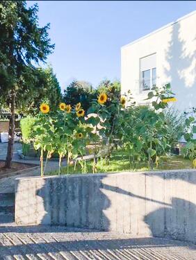 Foto - Modernisierte 4-Zimmer-Wohnung mit Südbalkon und großem Garten
