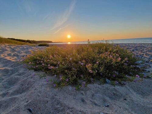 Foto - andere zur Miete in Oldenburg in Holstein