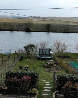 Foto - Ferienwohnung Piesport Ferres direkt an der Mosel mit Moselzugang