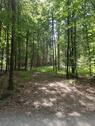 Foto - Wald,Freizeitgrundstück - 19.950,00 EUR Kaltmiete, ca.  0,00 m²