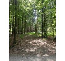 Wald,Freizeitgrundstück - 19.950,00 EUR Kaltmiete, ca.  0,00 m² in Schöllkrippen (PLZ: 63825)